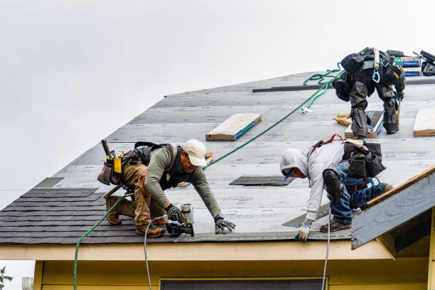 Professional Storm Damage Roof Repair technician working in Dumont, IA